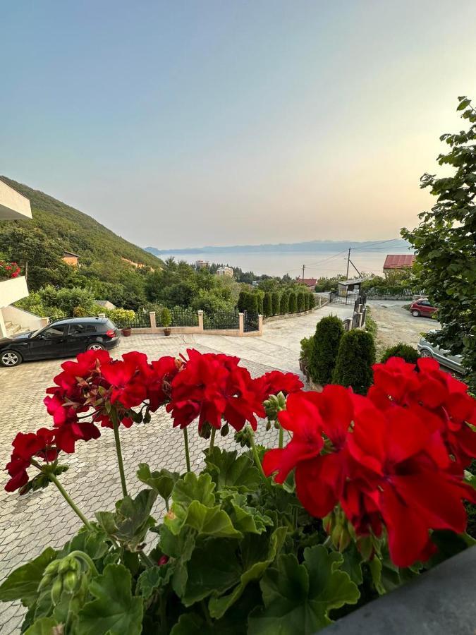 Villa Stefanoski Konszko Kültér fotó