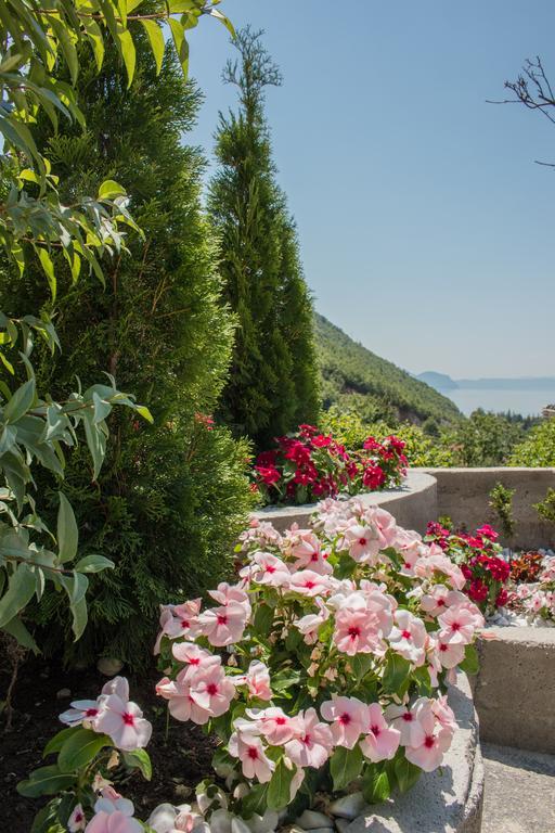 Villa Stefanoski Konszko Kültér fotó